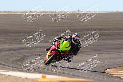 media/Jan-13-2024-SoCal Trackdays (Sat) [[9c032fe5aa]]/Bowl Exit Set 2 (1135am)/